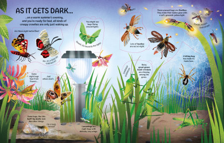 9781836044420 Usborne See inside Bugs and Butterflies [3]