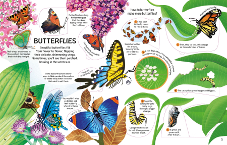 9781836044420 Usborne See inside Bugs and Butterflies [2]