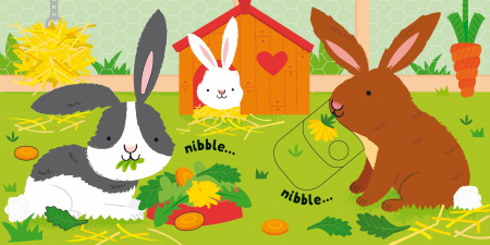 9781474999083 Usborne Slide and See Pets  [2]