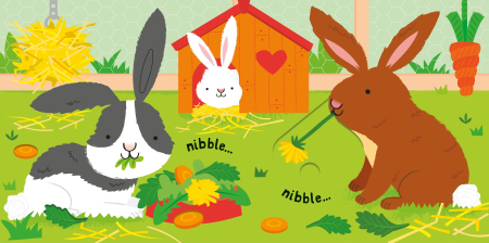 9781835404263 Usborne Slide and See Pets  [1]