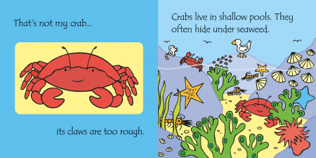 9781835404188 Usborne That's not my... jigsaw book: Under the sea [2]