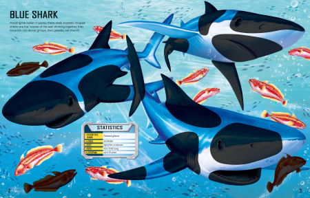 9781805074908 Usborne Build Your Own Sharks [1]