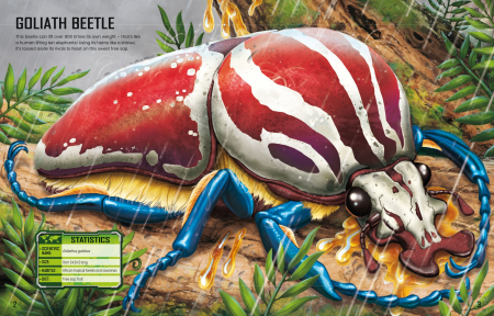 9781805312291 Usborne Build Your Own Giant Bugs Sticker Book [2]