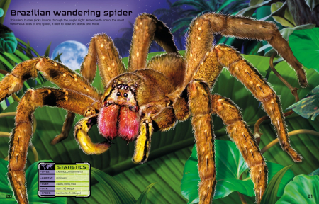 9781474985284 Build Your Own Deadly Animals [8]