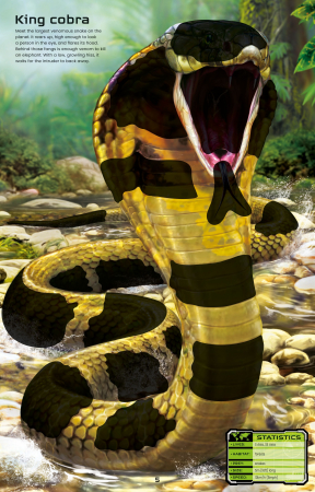 9781474985284 Build Your Own Deadly Animals [5]