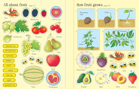 Carte cu stickers Fructe si Legume, format mare, 150 stickers, "First Sticker Book Fruit and Vegetables", Usborne [1]