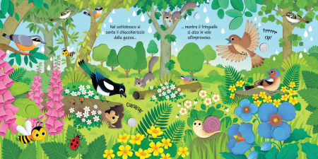 9781474976749 Usborne Bird Sounds [2]
