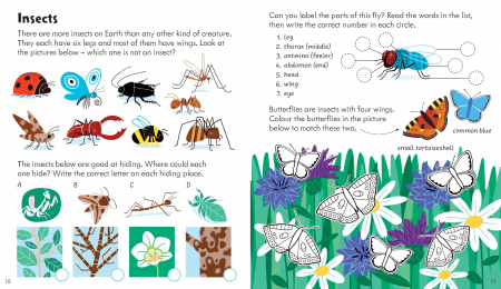 9781836041368 Usborne Activity Book Nature [1]