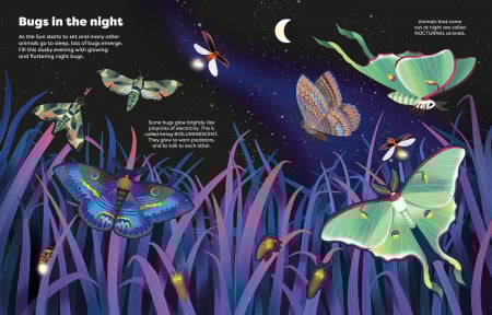 9781836040699 Usborne Big Sticker Book Bugs [4]