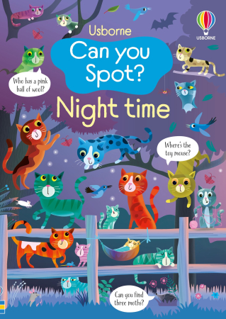Vacanta de vara - 9781836041320 Usborne Can you Spot? Night time