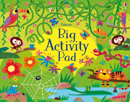 Vacanta de vara - 9781801316590 Usborne Big Activity Pad