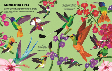 9781836042464 Usborne Shimmery Stickers Birds [2]