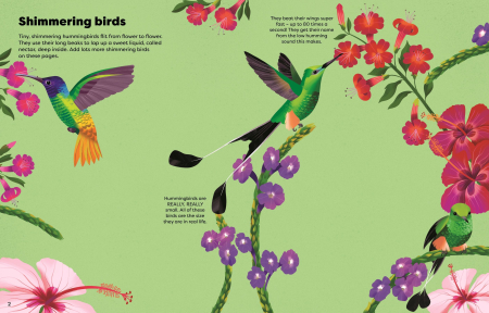 9781836042464 Usborne Shimmery Stickers Birds [3]