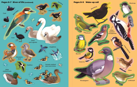 9781836042464 Usborne Shimmery Stickers Birds [5]