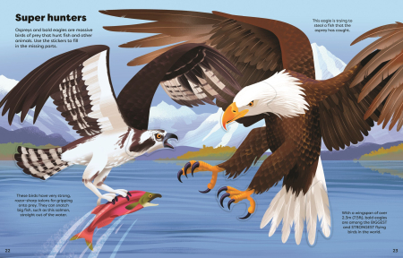 9781836042464 Usborne Shimmery Stickers Birds [4]