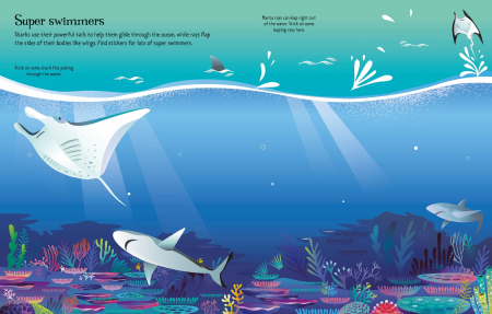 9781803709871 Usborne First Sticker Book Sharks and Rays [6]