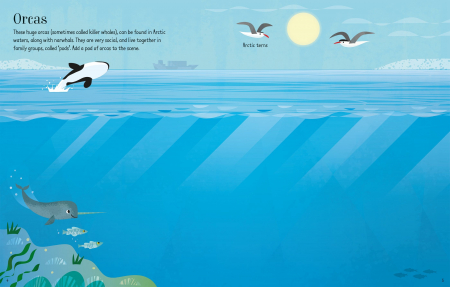 9781474968294 Usborne First Sticker Book Narwhals [1]