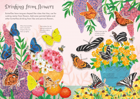 9781803704586 Usborne Little First Stickers Butterflies [2]