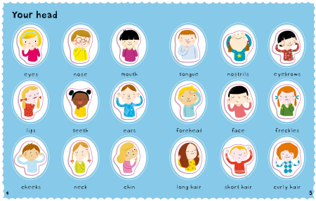 9781409534952 Usborne First Sticker Book Your Body [3]