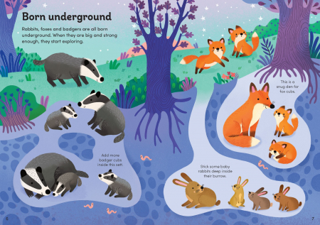 9781803704579 Usborne Little First Stickers Baby Animals [3]