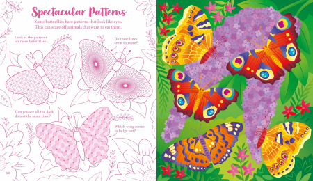 9781836043287 Usborne Scratch Activities Butterflies [6]