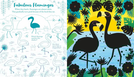 9781835408513 Usborne Scratch Activities Animals [4]