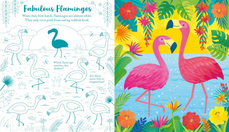 9781835408513 Usborne Scratch Activities Animals [3]