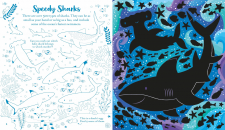 9781805076964 Usborne Scratch Activities Under the Sea [1]