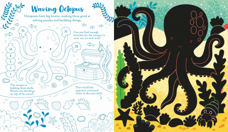 9781805076964 Usborne Scratch Activities Under the Sea [2]
