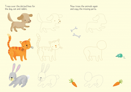 Carte de activitati Animale, reutilizabila, format mic, "Little Wipe-Clean Animals to Copy and Trace", Usborne [2]