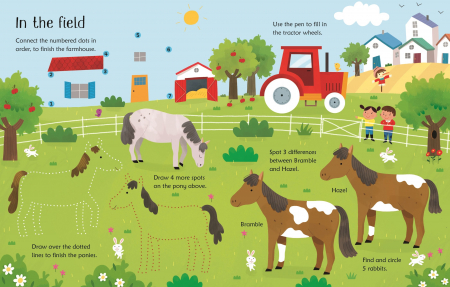 Carte de activitati scrie si sterge "Wipe-Clean Horse and Pony Activities", reutilizabila, Usborne [2]