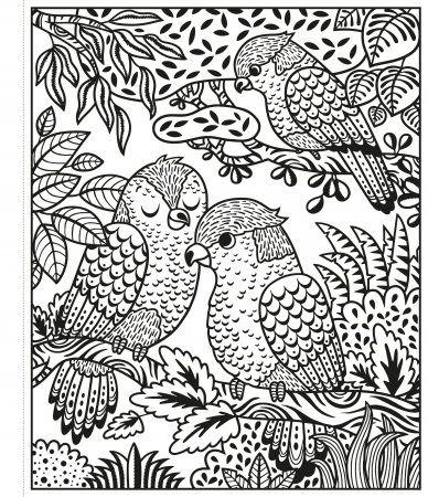 Carte de pictat cu apa "Magic painting book Zoo", Usborne [2]