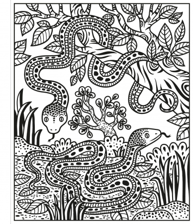 Carte de pictat cu apa "Magic painting book Zoo", Usborne [3]