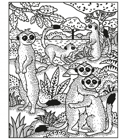 Carte de pictat cu apa animale, "Magic painting book Animals", Usborne [2]