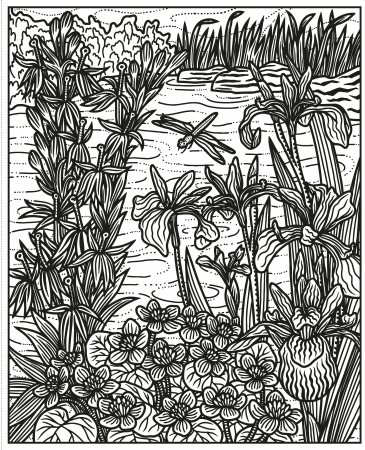 9781803701219 Usborne Wildflowers Magic Painting Book [2]
