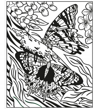 9781474986199 Usborne Butterflies Magic Painting Book [3]