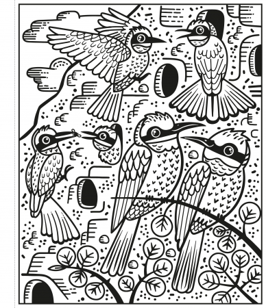 9781474960465 Usborne Birds Magic Painting Book [2]