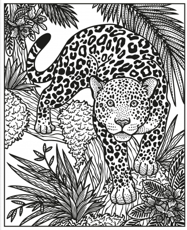 9781474998536 Usborne Wild Animals Magic Painting Book [5]