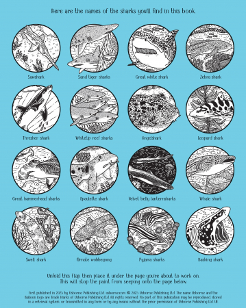 9781805079385 Usborne Sharks Magic Painting Book [6]