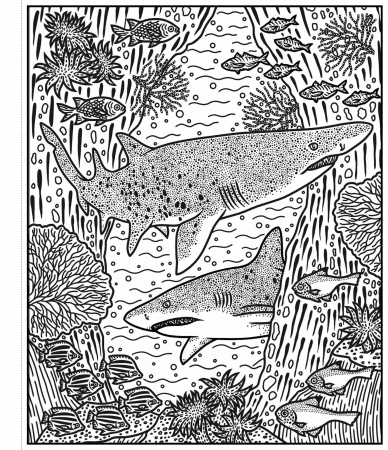 9781805079385 Usborne Sharks Magic Painting Book [1]