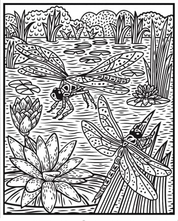 Carte de pictat cu apa insecte, "Magic painting book Bugs", Usborne [2]