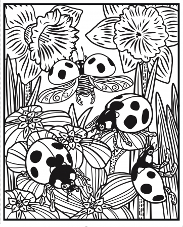 Carte de pictat cu apa insecte, "Magic painting book Bugs", Usborne [1]