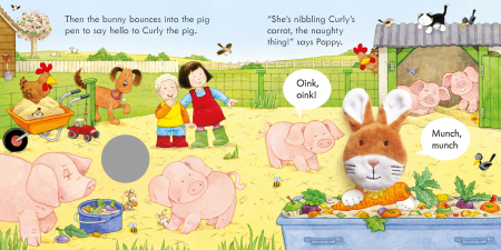9781474974899 Usborne Poppy and Sam and the Bunny [3]