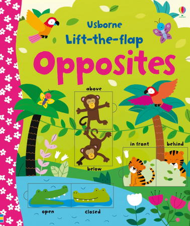 TEME populare - 9781409582588 Usborne Lift-the-flap Opposites
