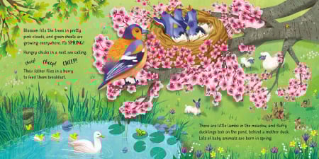9781474972093 Usborne Pop-up Seasons [3]