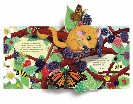 9781474972086 Usborne Pop-up Nature [2]