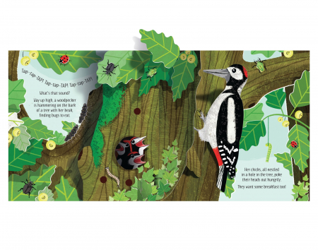 9781474972086 Usborne Pop-up Nature [3]