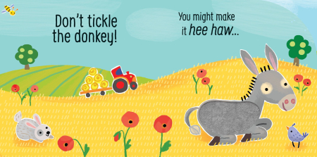 9781836043652 Usborne Don't tickle the Donkey [1]