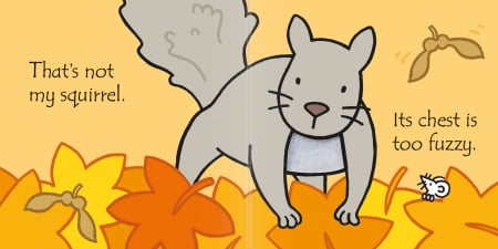 9781409596431 Usborne That's not my squirrel [1]