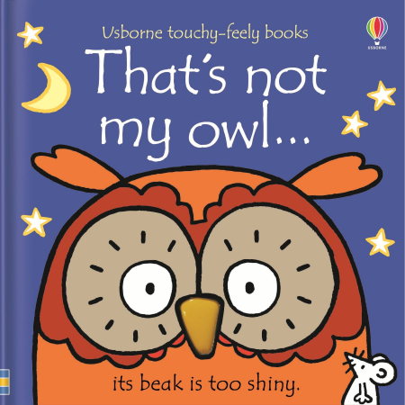Pasari - 9781409587583 Usborne That's not my owl